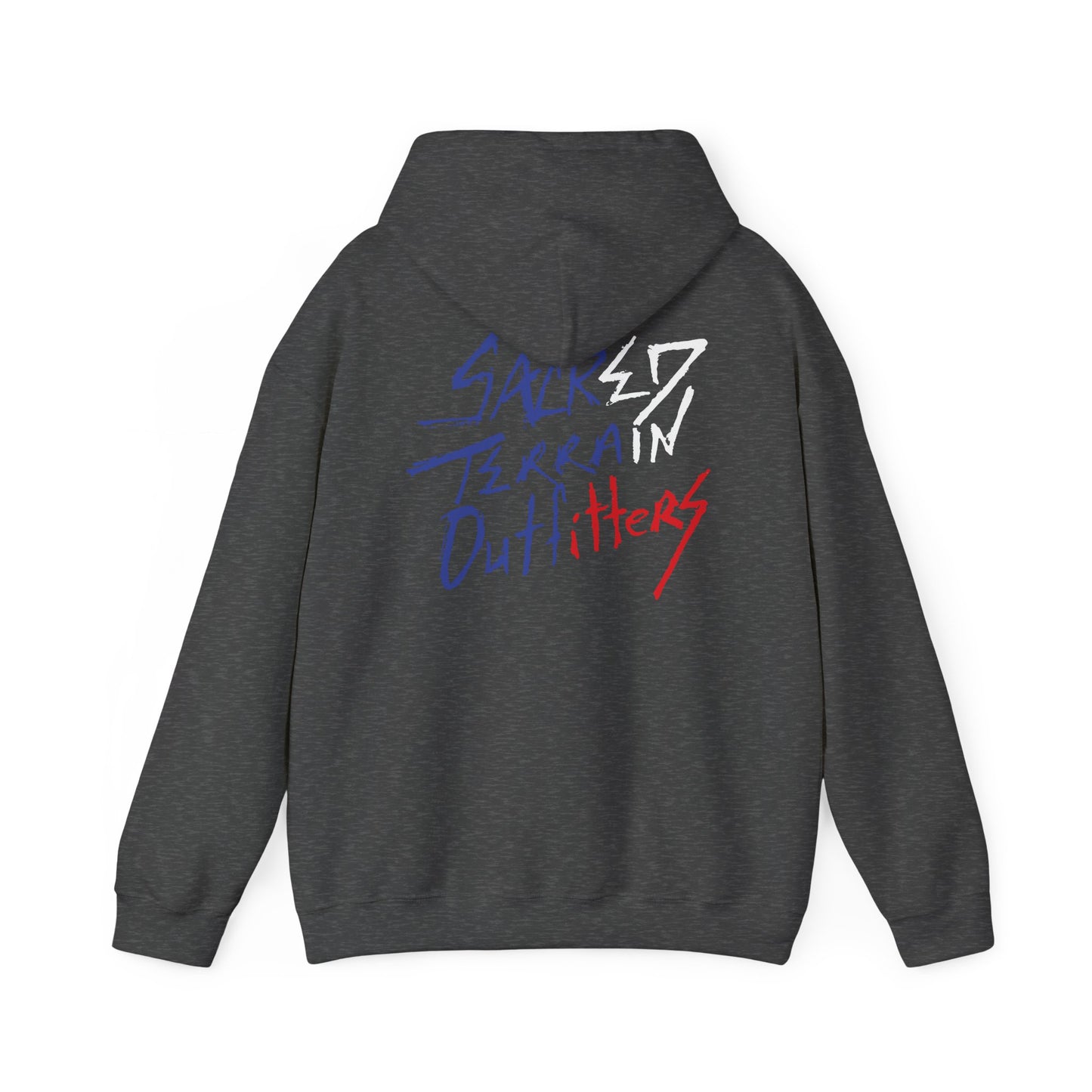Cactus Design Hoodie, Unisex Sweatshirt for Casual Wear, Perfect Gift for Nature Lovers, Ideal for Warm Days & Cozy Evenings
