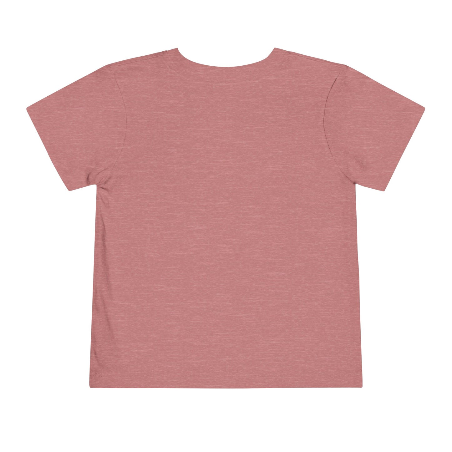 Toddler Tee - Sacred Terrain Design