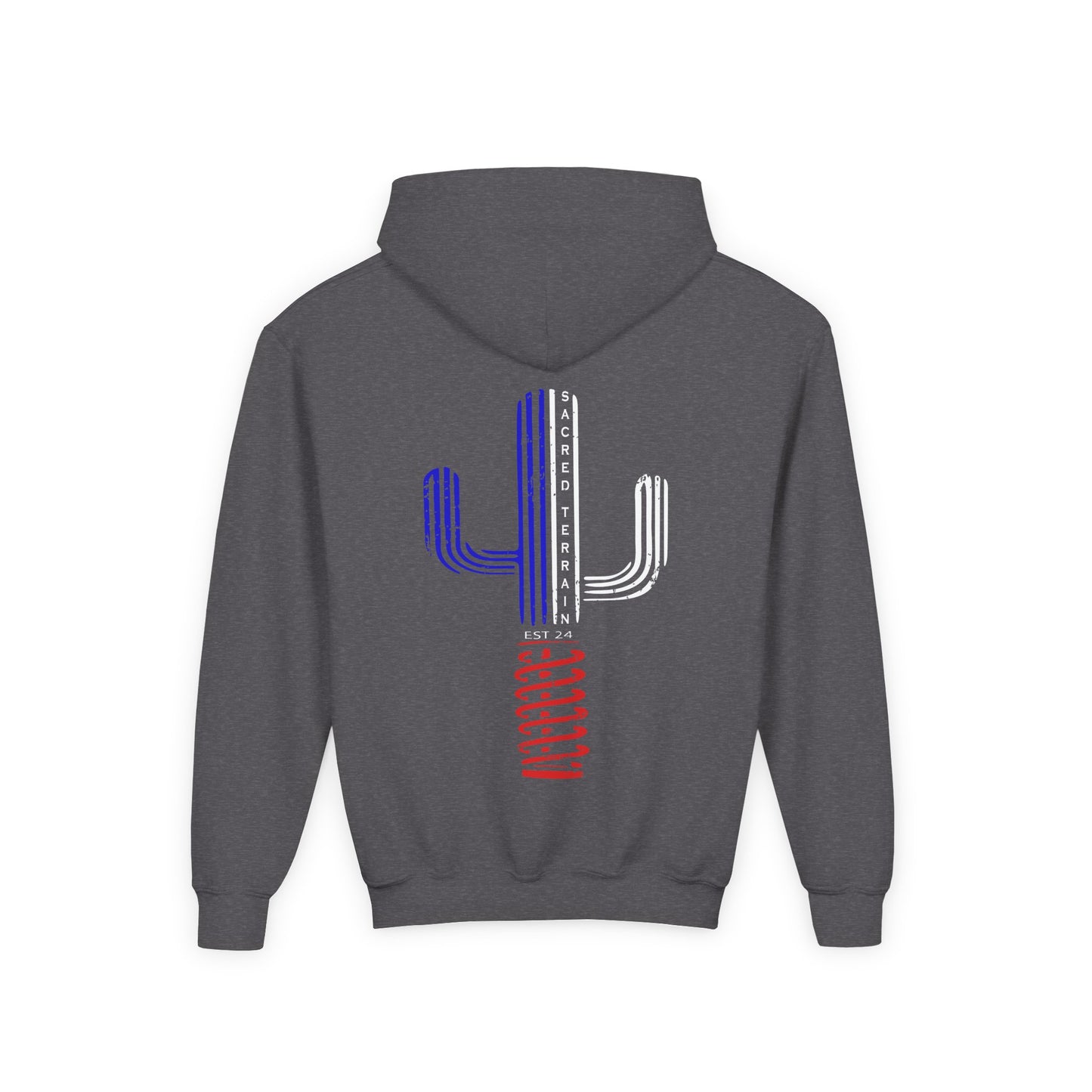 RW&B Saguaro Youth Hoodie