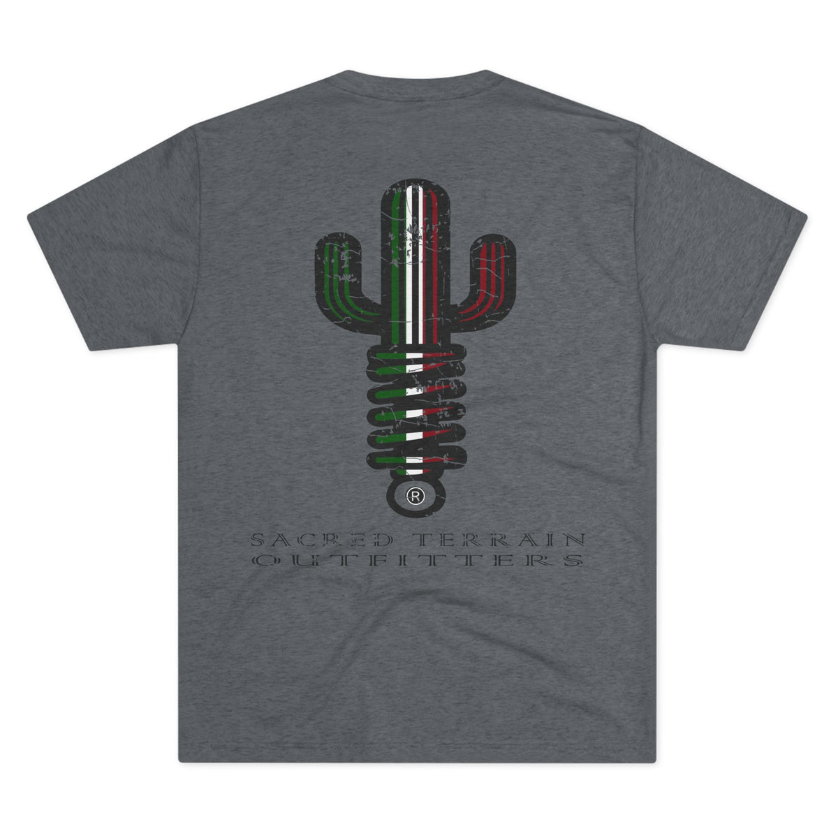 Viva Mexico Desert
