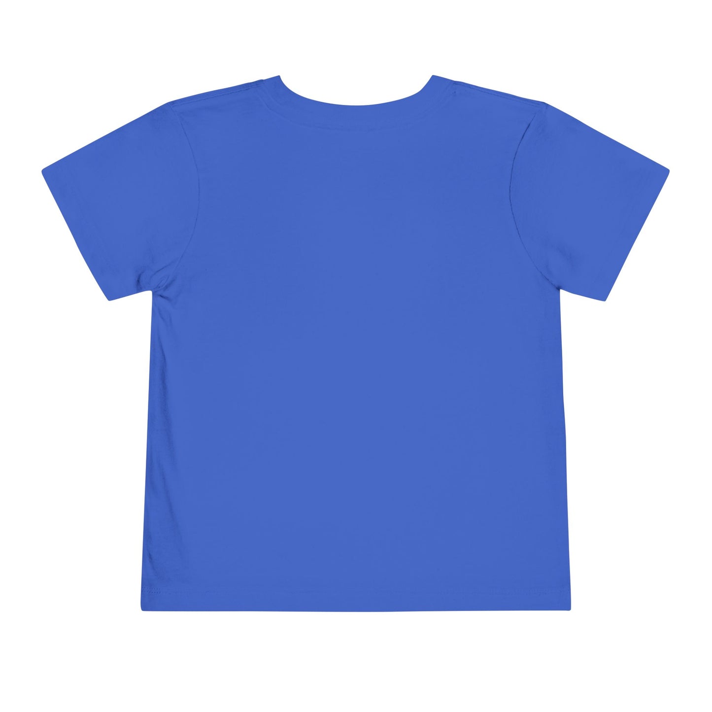 Toddler Tee - Sacred Terrain Design