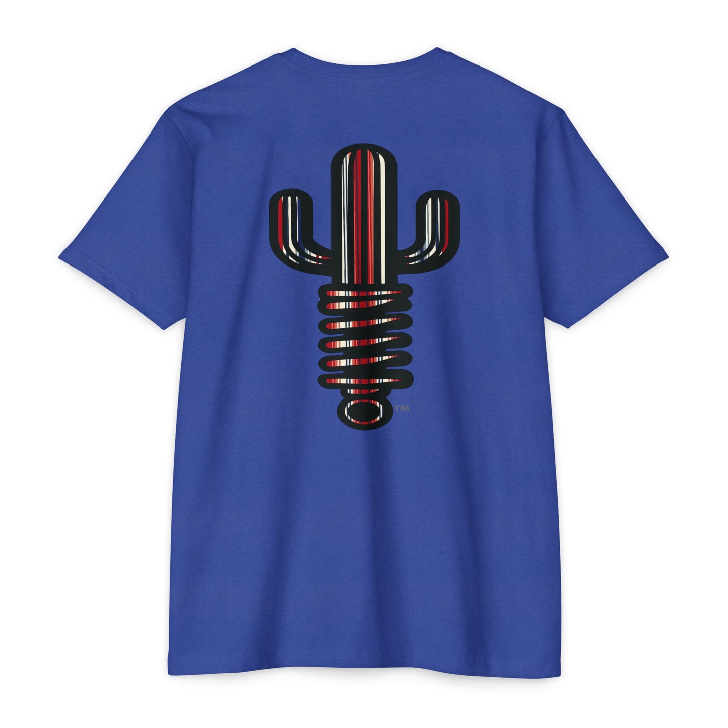 Sacred Serape — Retro Desert Graphic Tee Larger sizes