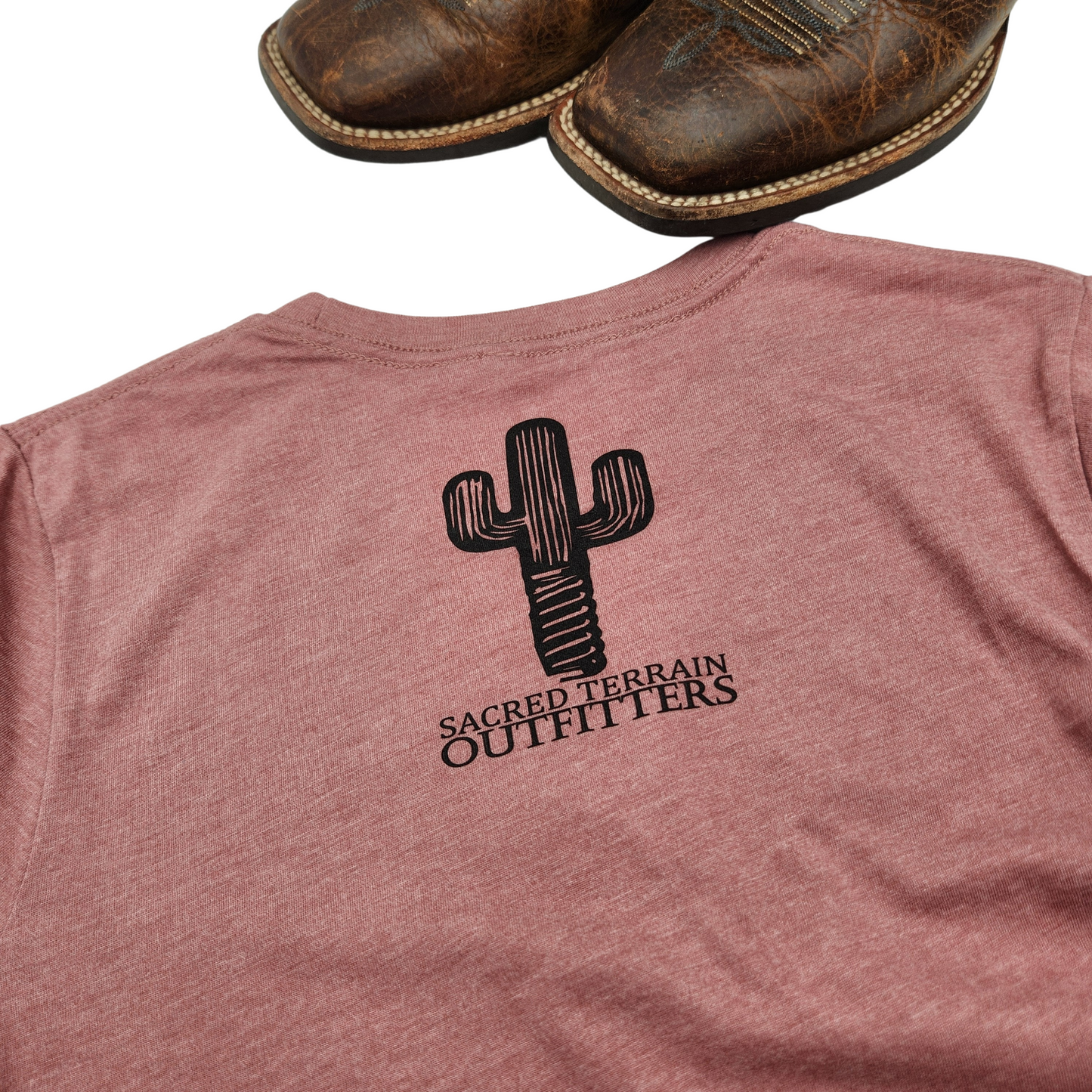 Bison Spring Mens T-Shirt