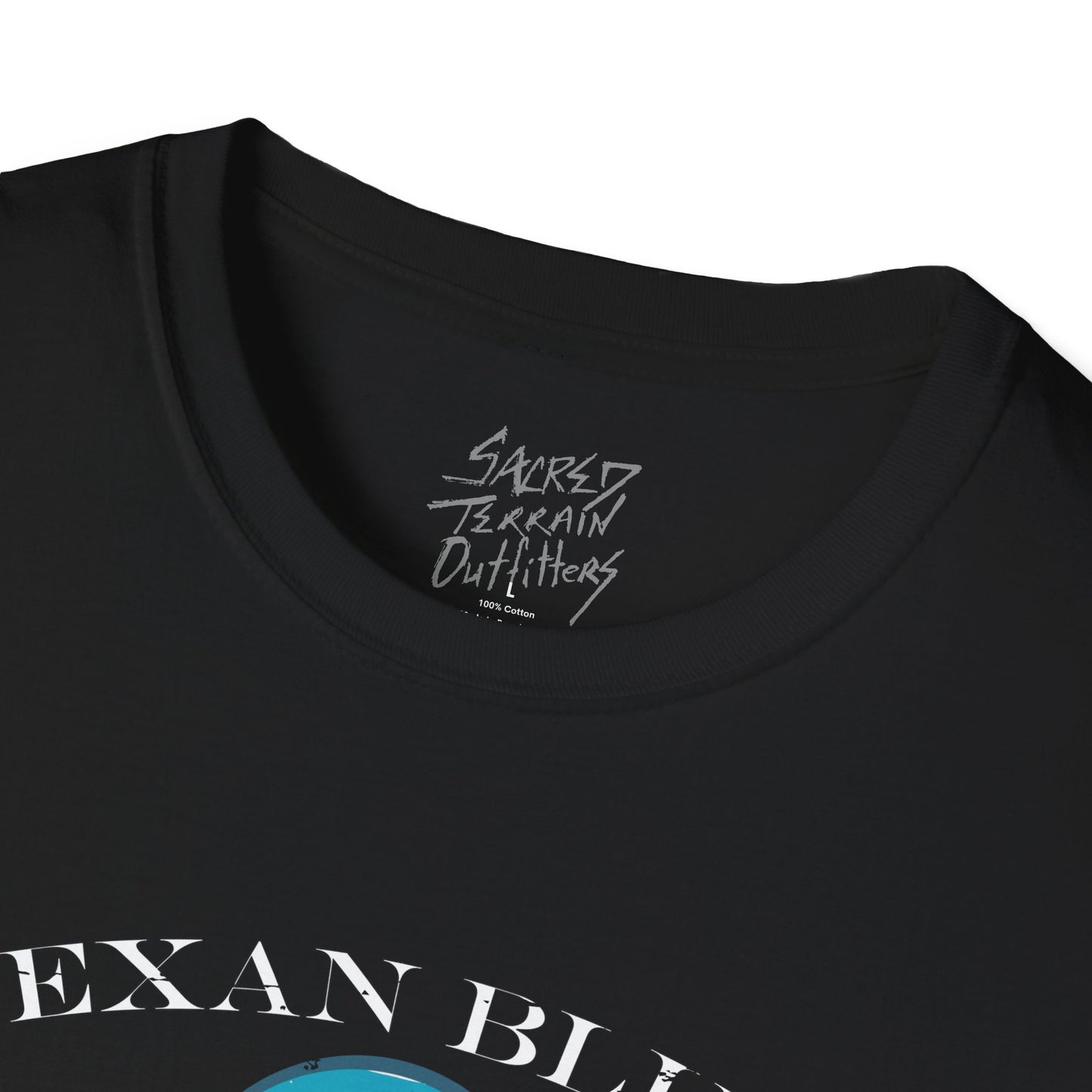 Fort Worth Texan Bluez T-Shirt — Vintage Globe & Arrow Graphic