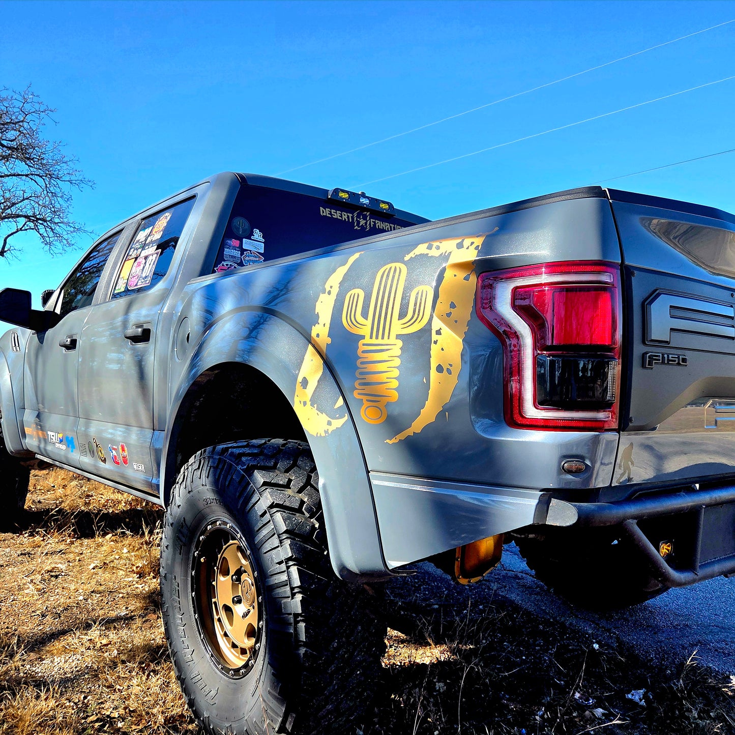 Sacred Terrain Outfitters Bedside Logo Decal - Custom Saguaro Cactus Coilover Design